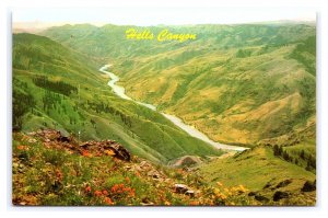 Hell's Canyon Snake River Oregon Idaho Border Aerial View Postcard