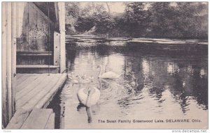 The Swan Family , Greenwood Lake, Delaware , Ohio, PU-1911