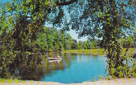 Canada A Peaceful Pond British Columbia