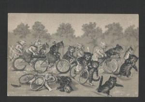 119798 Dressed CAT on BICYCLE Louis WAIN vintage Embossed PC