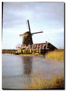 Modern Postcard From Zaanse Schans Verlmolen Kat