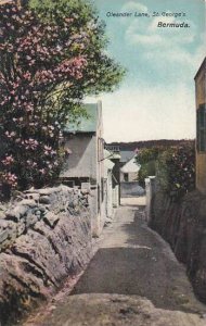 Bermuda Oleander Lane St Georges