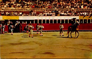 Mexico Tijuana Bull Fight Coming Out Of The Matadors