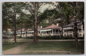 White Sulphur Springs WV South Carolina Row Hand Colored Postcard P21