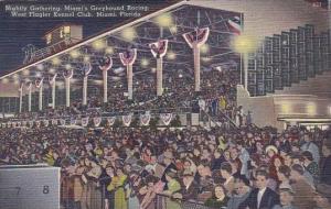 Florida Miami Nightly Gathering Miami's Greyhound Racing West Flagler Kennel ...