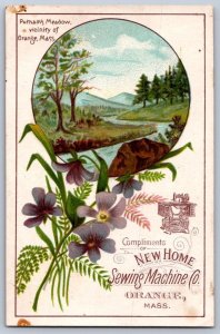 K44/ Victorian Trade Card c1880s Ferris Store Stamford Connecticut 160