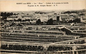 CPA ROSNY-sous-BOIS Les Murs Culture de la pmme de Calville (869308)