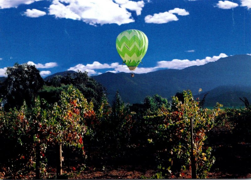 Advertising Wine Country Gift Baskets Hor Air Balloon