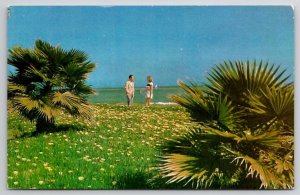 Santa Barbara CA Scenic View American Airlines Issue Postcard W28