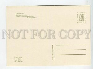 463604 USSR 1966 year Lithuania TRAKAI postcard