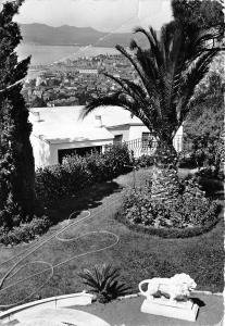 BR29173 Cannes vue prise d un jardins super cannes france