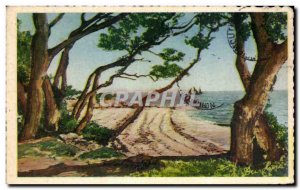 Old Postcard The Ile De Noirmoutier Wood of the Cbaize