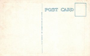 Vintage Postcard 1920's Lookout Mountain & Ocean SS Savannah Chattanooga Tenn.