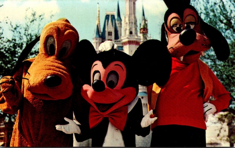 Florida Walt Disney World Mickey Mouse Pluto and Goofy