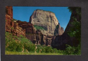 UT Great White Throne Zion National Park Utah Postcard Springdale PC