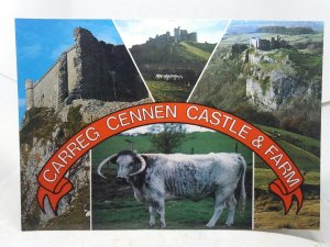 Carreg Cennen Castle and Farm Trap Dyfed New Unused Vintage Multiview Postcard