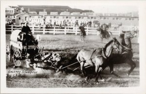 Calgary Stampede Alberta Chuckwagon Mishap Horses on Ground RPPC Postcard G82