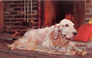 English Setter by the Fireside Photo by Free Lance Photographers Guild, Inc U...