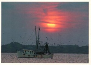 Shrimp Boat,Hilton Head Island,SC