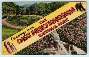 2 Postcards GREAT SMOKY MOUNTAINS National Park ~ TRAILWAYS BUS, Large Letter