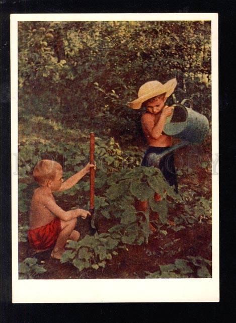 028375 RUSSIA Boys as Gardeners Old Photo Color PC