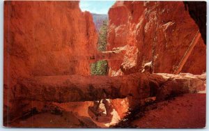 M-63346 The two Natural Rock Bridges Bryce Canyon National Park Utah