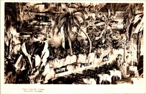 RPPC Interior Clifton's Pacific Seas Cafeteria Olive at Sixth Los Angeles CA