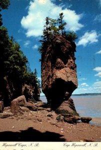 Canada New Brunswick Hopewell Cape Flower Pot Rocks 1985