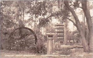 Florida Clearwater Eagles Nest Gardens 1942 Real Photo