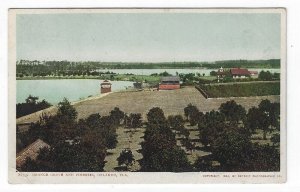 Orlando, Florida, Vintage Postcaerd View of Orange Grove and Pineries, 1904 