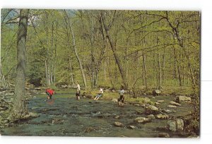 Passaic County New Jersey NJ Vintage Postcard Ringwood Manor State Park