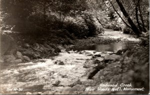 Vtg 1950s Muir Woods National Monument Redwood Creek California CA RPPC Postcard