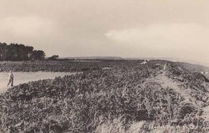 Sizewell From The Mountain Hills Antique Aerial Suffolk Real Photo Postcard