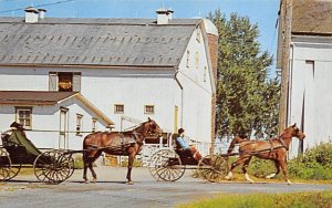 Amish Boys in horse and buggy Lancaster Pennsylvania, PA