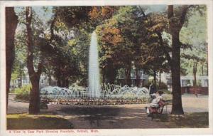 Michigan Detroit View In Cass Park Showing Fountain