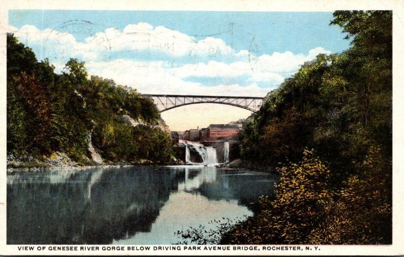 New York Rochester Genesee River Gorge Below Driving Park Avenue Bridge 1913