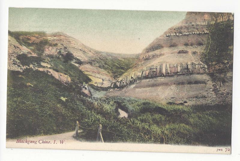 UK Isle of Wight Blackgang Chine JWS John Welch & Sons no 72 Postcard Vtg Tinted