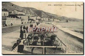 Old Postcard Menton Promenade du Midi Donkey Mule