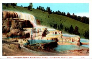 Yellowstone National Park Cleopatra Terrace Mammoth Hot Springs Haynes Photo