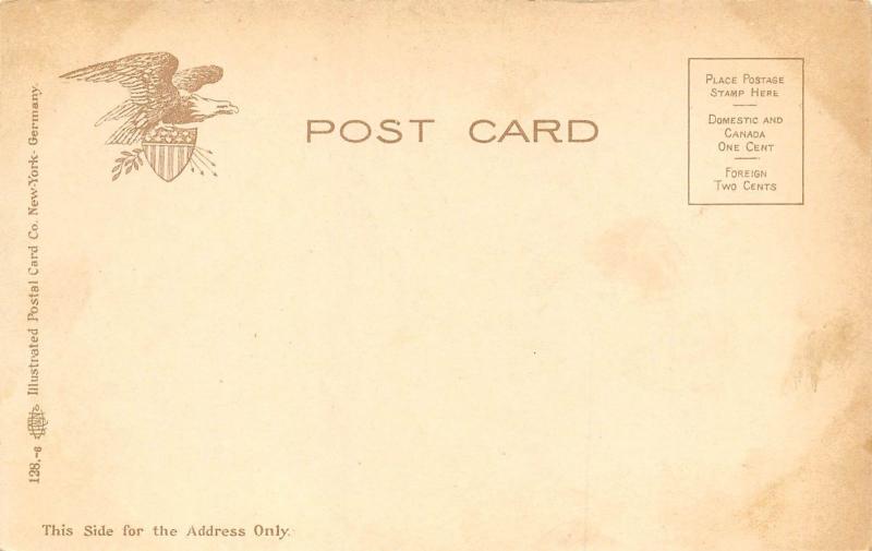 Wheeling West Virginia c1907 Postcard Market Street