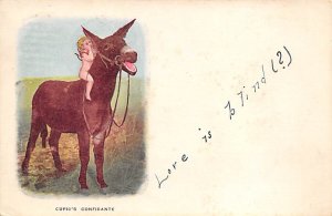 Cupid's Confidante Donkey 1905 writing on front