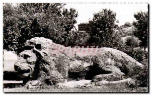 Old Postcard Ifrane Morocco the lion