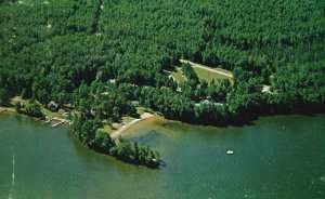 Vintage Postcard 1969 Birch Forest Lodge Beautiful Pelican Lake Orr Minnesota MN 