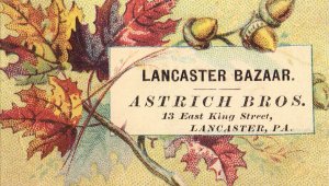 Victorian Trade Card - Lancaster Bazaar - Astrich Bros.- Lancaster, Pa.