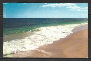 Surf - Ocean - Beach - [MX-501]