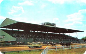 Harrington DE The Great Kent & Sussex County Fair Horse Race Postcard 