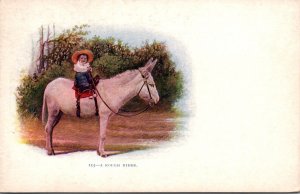 Donkeys Baby Riding Donkey A Rough Ride