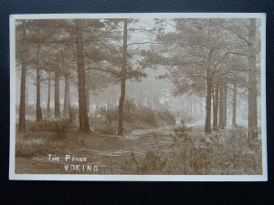 Surrey WOKING The Pines Woodland c1930's RP Postcard