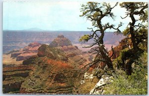 Postcard - Grand Canyon From Cape Royal, Grand Canyon National Park - Arizona