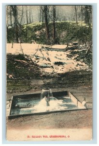 c. 1910 Dr. Reynold's Well Spring Greenspring, OH Hand Colored Postcard P16 